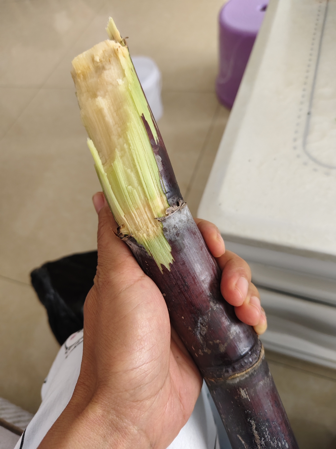 从凭经验到“慧”种田 广西蔗田里算出产业“甜账本”